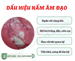 ngua-ngay-du-doi-khi-hu-ba-dau-co-phai-mac-nam-candida-o-nu