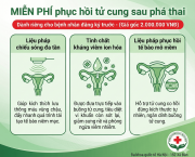 vi-sao-phuc-hoi-tu-cung-sau-dinh-chi-thai-lai-quan-trong-goc-nhin-cua-bac-si-san-phu-khoa